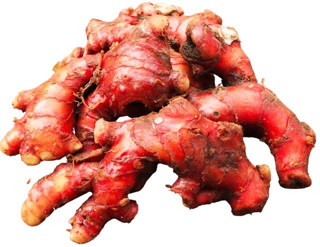 Red Ginger (Jahe Merah)